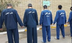 انهدام باند سارقان منزل و طلاجات در گناوه