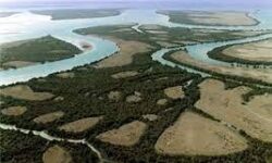 لایروبی جنگل حرای پارک ملی دریایی نایبند