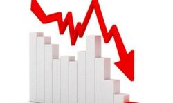 کاهش نرخ بیکاری در استان بوشهر