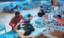 جلب ۴‌ نفر دیگر در پی ضرب و شتم معلولان‌ در مرکز نیلوفران/ بهزیستی مجموعه را واگذار می‌کند