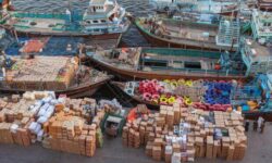 موافقت مجلس با واردات رسمی ته لنجی و کولبری به مدت ۵ سال