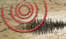 زمین لرزه ۴.۳ دهم ریشتری تلفاتی در بر نداشته است