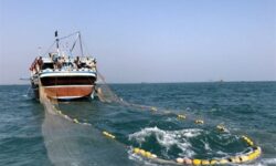 تجهیز شناورهای صیادی به سیستم لحظه‎ای پایش برای جلوگیری از صید ترال