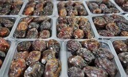 ضرورت اجرایی شدن قرارداد مزرعه صادرات خرما در استان بوشهر