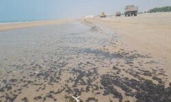 ممنوع شدن شنا در ساحل گناوه