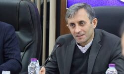 ۴۰ درصد اشتغال‌های جدید در استان بوشهر مربوط به بانوان است