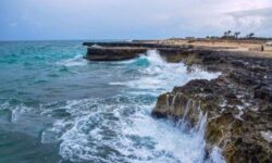 سواحل استان بوشهر آخر هفته متلاطم است