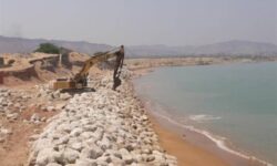 ۱۶ منطقه ساحلی دشتی و تنگستان هم‌جوار خلیج‌ فارس نیاز به احداث دیوار حفاظتی دارد