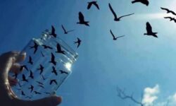 آزادی ۳۰۰ زندانی با حبس زیر ۴ ماه در استان بوشهر