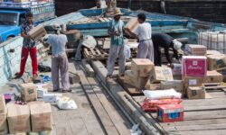 پشت پرده ورود غذای سگ و گربه به نام ملوانان