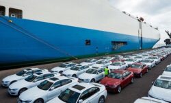 مجوز واردات خودرو از ۴ گمرک استان بوشهر صادر شد