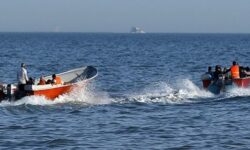 توقیف ۳ شناور صید ترال در دریای بوشهر