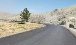 بوشهر از استان‌های برتر کشور در آسفالت راه های روستایی است