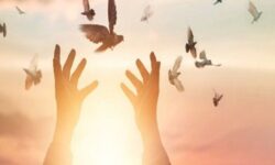 حبس زدایی، اولویت محاکم قضایی استان بوشهر