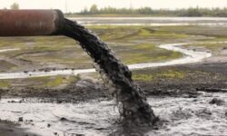 انتقاد عضو شورای بوشهر از رهاشدن فاضلاب به دریا