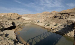 بهره‌برداری از ۲ سد دالکی و باهوش در استان بوشهر در سال آینده