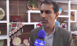 برگزاری نمایشگاه صنایع دستی زنان سرپرست خانوار و توانخواهان بهزیستی