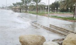 خسارت بر اثر وقوع گردباد شدید در جنوب استان بوشهر