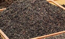 ارز ناشی از « تخلف چای » به خزانه بازمی‌گردد ؟