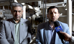 پیگیری دستگاه قضا برای احیا واحد‌های اقتصادی بوشهر