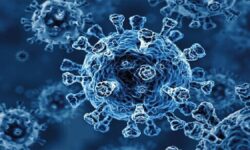 ۷۰۰ میلیون نفر کرونا گرفتند!