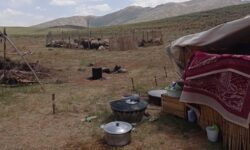 سهم ناچیز عشایر بوشهر از توزیع اعتبارات استانی