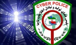 گرداننده صفحات اینستاگرامی مروج ابتذال در بوشهر دستگیر شد