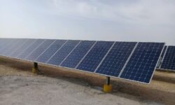ساخت ۱۰۰۰ نیروگاه برق خورشیدی در استان بوشهر آغاز شد
