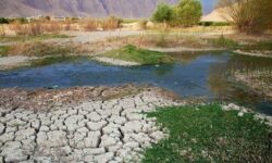 کاهش ۵۰ درصدی بارندگی در استان بوشهر