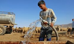 نرخ آببها برای عشایر استان بوشهر ارزان شد