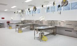 افزایش ۱۰ درصدی نزاع در استان بوشهر