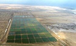 احداث بزرگترین شهرک شیلاتی کشور در استان بوشهر