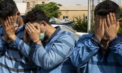 سارقان و مالخران سیم برق در دشتستان دستگیر شدند