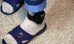 کاهش جمعیت کیفری زندانها در سراسر کشور/ رهایی ۱۴ محکوم به قصاص در بوشهر