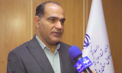 جمعیت استان بوشهر به یک میلیون و ۲۰۸ هزار نفر رسید