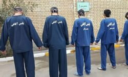 انهدام باند سارقان باغات در دشتستان/ ۸ فقره سرقت کشف شد