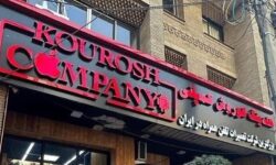 ۴ نکته مغفول در پرونده کلاهبرداری کوروش کمپانی؛ از نوشداروی بیفایده واردکنندگان موبایل تا رویه رانتی واردات