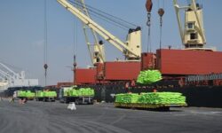 میزان تخلیه و بارگیری در بنادر استان بوشهر از مرز ۵۰ میلیون تن گذشت