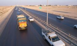 کدام پلاکها بیشترین تردد به استان بوشهر داشتهاند؟