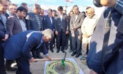 دشتستان قطب پروار بندی جنوب کشور