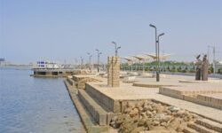 حل مشکلات گردشگری بوشهر به برنامهریزی اصولی و علمی نیاز دارد