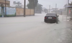 دیلم رکوردار بیشترین باران در استان بوشهر