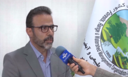 صدور سند برای بیشاز ۹۹ درصد زمینهای ملی در بوشهر