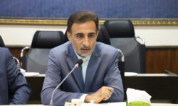 اجرای طرح نظارتی ۱۰ در ۱۰» در استان بوشهر