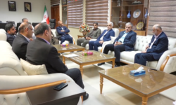 عقب ماندگی جذب ۵۰ درصدی نیرو‌های بومی در پارس جنوبی جبران شود