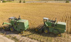 آغاز برداشت گندم از ۱۰۲هزار هکتار اراضی استان بوشهر