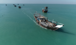 خلیج فارس خانه ماست…