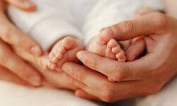 نرخ باروری در ۱۴ استان افزایشی شد