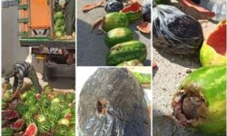 کشف ۱۰۰ کیلوگرم تریاک جاسازی‌شده در بار هندوانه