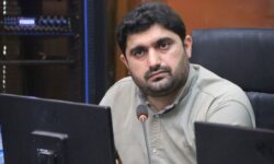 احداث اسکله قایق‌های تفریحی در بوشهر/جمعه‌بازار مدرن ایجاد می‌شود